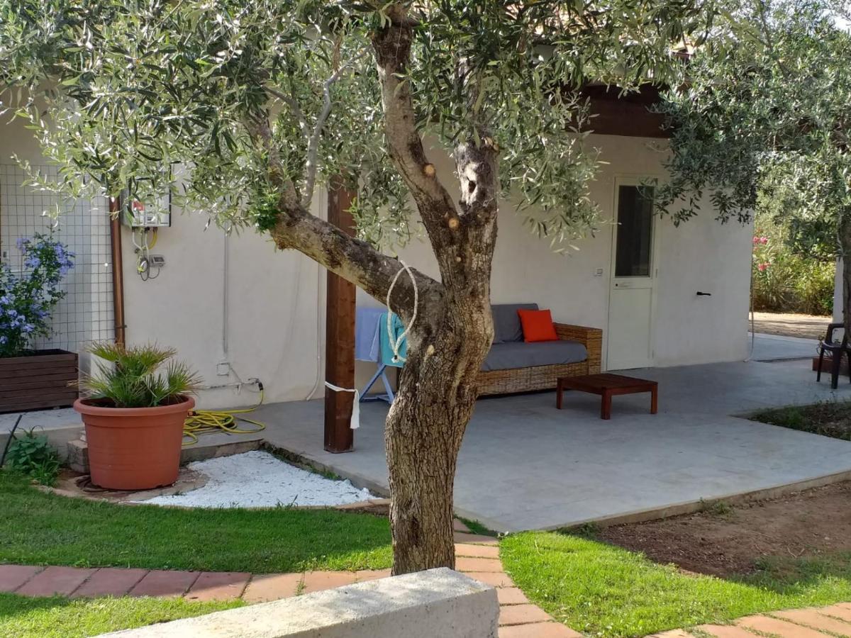 Charming Hideaway Self Check-In - Accesso Autonomo Hotel Alghero Exterior photo