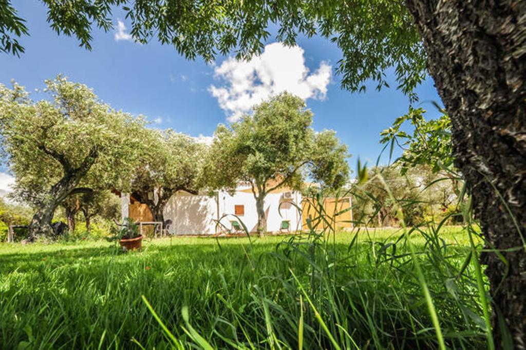 Charming Hideaway Self Check-In - Accesso Autonomo Hotel Alghero Exterior photo